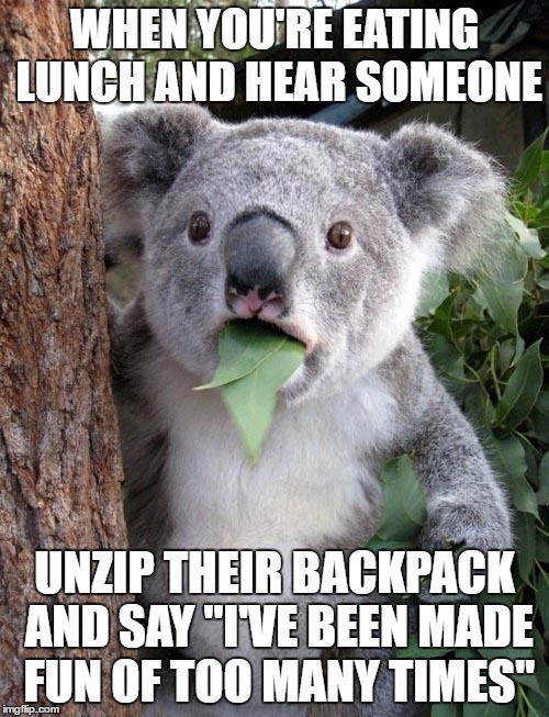 Oh shat | WHEN YOU'RE EATING LUNCH AND HEAR SOMEONE; UNZIP THEIR BACKPACK AND SAY "I'VE BEEN MADE FUN OF TOO MANY TIMES" | image tagged in memes,funny,lmao,true,lol,cool | made w/ Imgflip meme maker