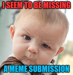 Skeptical Baby | I SEEM TO BE MISSING; A MEME SUBMISSION | image tagged in memes,skeptical baby | made w/ Imgflip meme maker