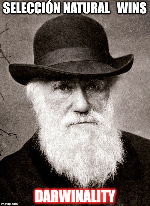 Darwin | SELECCIÓN NATURAL


WINS; DARWINALITY | image tagged in darwin | made w/ Imgflip meme maker