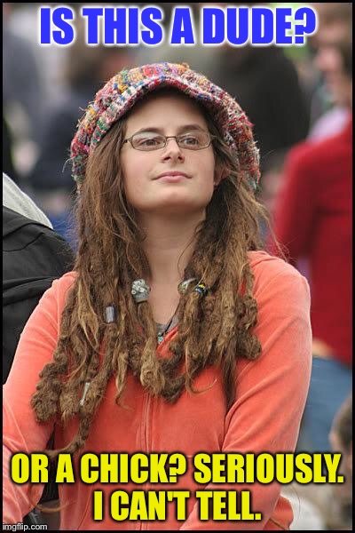 Hippie | IS THIS A DUDE? OR A CHICK? SERIOUSLY. I CAN'T TELL. | image tagged in hippie | made w/ Imgflip meme maker