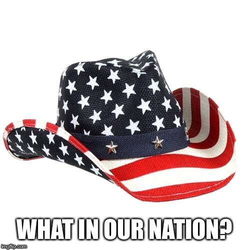 Tarnation | WHAT IN OUR NATION? | image tagged in what in tarnation | made w/ Imgflip meme maker