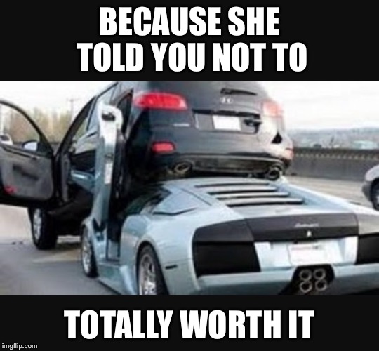 Fuck you | BECAUSE SHE TOLD YOU NOT TO; TOTALLY WORTH IT | image tagged in fuck you,car accident,car crash,marriage,wife | made w/ Imgflip meme maker