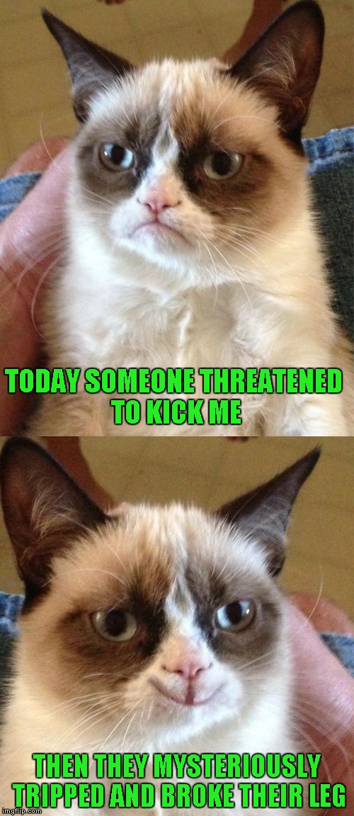 Accidents will happen... | TODAY SOMEONE THREATENED TO KICK ME; THEN THEY MYSTERIOUSLY TRIPPED AND BROKE THEIR LEG | image tagged in grumpy cat,memes,grumpy cat smiling,funny,accidents happen,cats | made w/ Imgflip meme maker