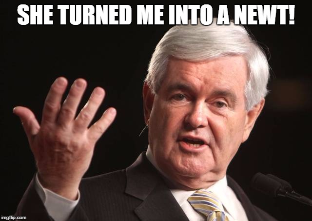 SHE TURNED ME INTO A NEWT! | made w/ Imgflip meme maker
