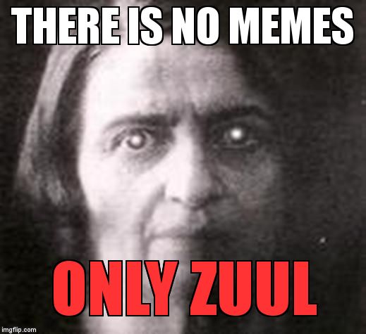 THERE IS NO MEMES; ONLY ZUUL | image tagged in oops,wrong zuul | made w/ Imgflip meme maker