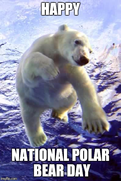 HAPPY; NATIONAL POLAR BEAR DAY | image tagged in polar bear | made w/ Imgflip meme maker