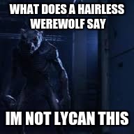 im not lycan this | WHAT DOES A HAIRLESS WEREWOLF SAY; IM NOT LYCAN THIS | image tagged in werewolf | made w/ Imgflip meme maker