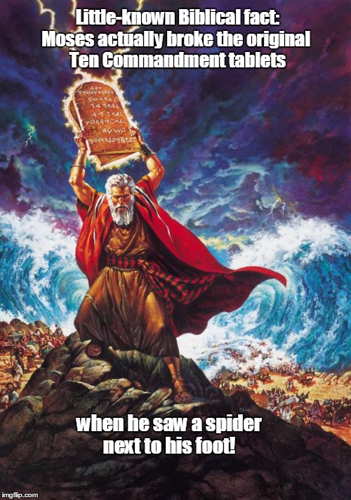 Serpents? No big deal. Spiders, on the other hand... | Little-known Biblical fact:; Moses actually broke the original Ten Commandment tablets; when he saw a spider next to his foot! | image tagged in moses,spider,ten commandments | made w/ Imgflip meme maker