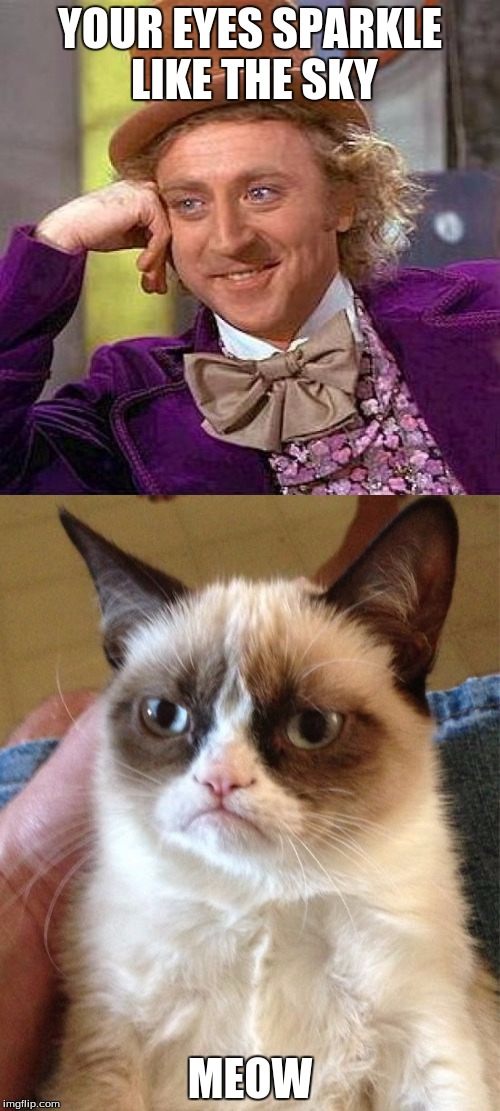 YOUR EYES SPARKLE LIKE THE SKY; MEOW | image tagged in grumpy cat,speed | made w/ Imgflip meme maker