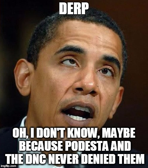 partisanship | DERP OH, I DON'T KNOW, MAYBE BECAUSE PODESTA AND THE DNC NEVER DENIED THEM | image tagged in partisanship | made w/ Imgflip meme maker