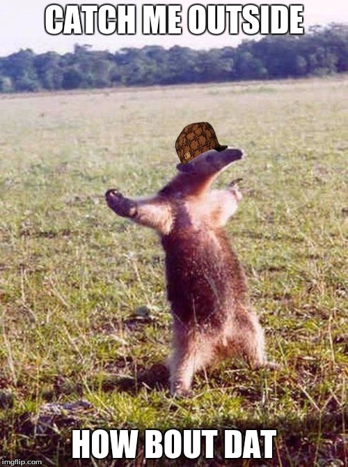 Fight me anteater | CATCH ME OUTSIDE; HOW BOUT DAT | image tagged in fight me anteater,scumbag | made w/ Imgflip meme maker