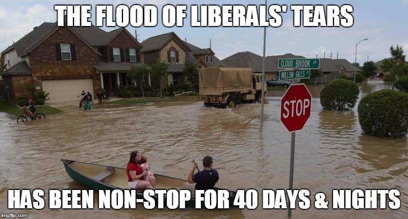 Flooding | THE FLOOD OF LIBERALS' TEARS; HAS BEEN NON-STOP FOR 40 DAYS & NIGHTS | image tagged in flooding | made w/ Imgflip meme maker