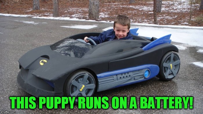 THIS PUPPY RUNS ON A BATTERY! | made w/ Imgflip meme maker