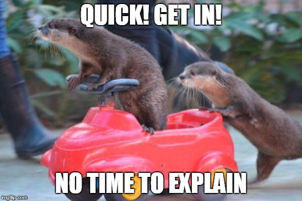 QUICK! GET IN! NO TIME TO EXPLAIN | image tagged in otter,grand theft auto | made w/ Imgflip meme maker