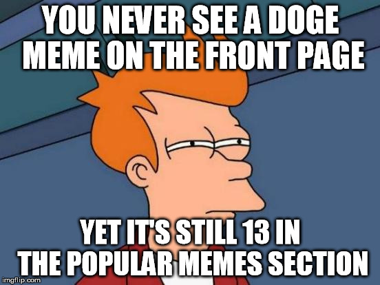 Doge-adox? Para-doge? | YOU NEVER SEE A DOGE MEME ON THE FRONT PAGE; YET IT'S STILL 13 IN THE POPULAR MEMES SECTION | image tagged in memes,futurama fry | made w/ Imgflip meme maker