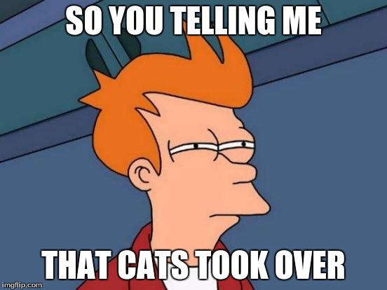 Futurama Fry Meme | SO YOU TELLING ME THAT CATS TOOK OVER | image tagged in memes,futurama fry | made w/ Imgflip meme maker
