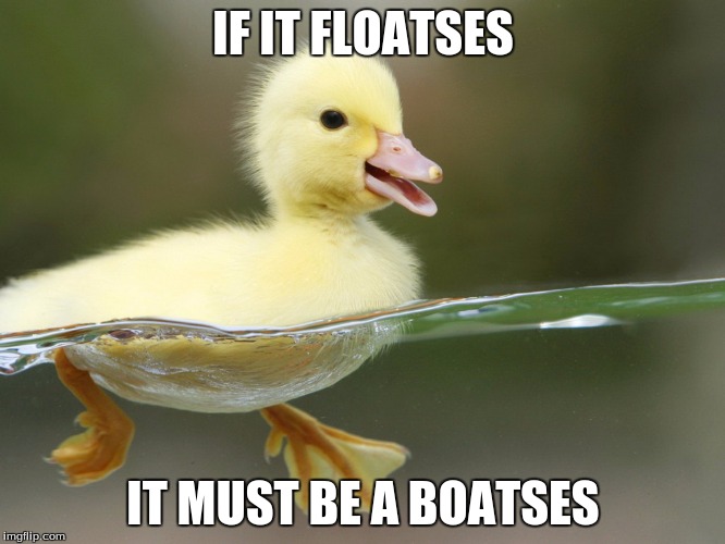 IF IT FLOATSES; IT MUST BE A BOATSES | image tagged in if it floatses | made w/ Imgflip meme maker