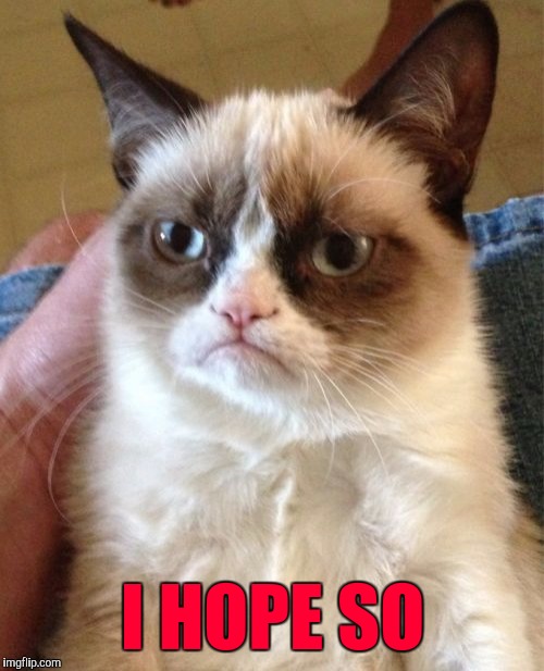 Grumpy Cat Meme | I HOPE SO | image tagged in memes,grumpy cat | made w/ Imgflip meme maker