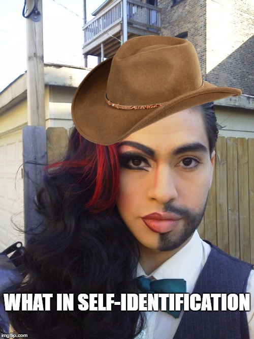 What In Self-Identification | WHAT IN SELF-IDENTIFICATION | image tagged in what in tarnation,transgender,gender identity,self identify,gender confusion,gender roles | made w/ Imgflip meme maker