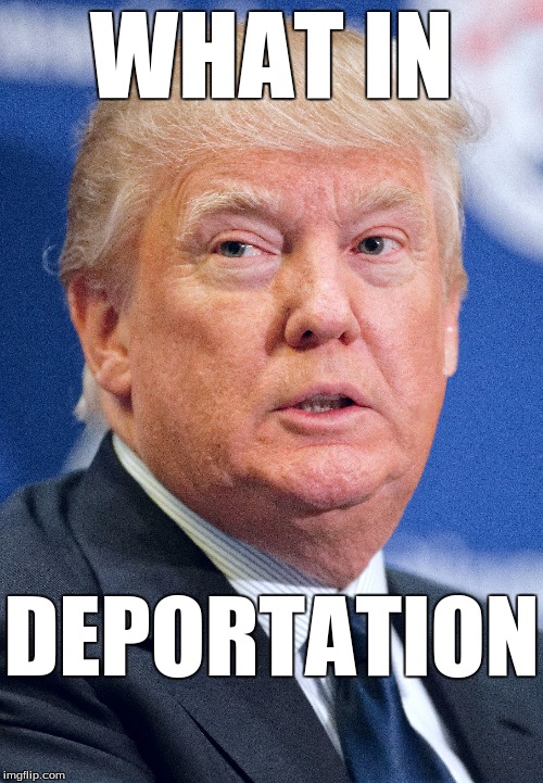 Trump | WHAT IN; DEPORTATION | image tagged in what in tarnation,trump | made w/ Imgflip meme maker