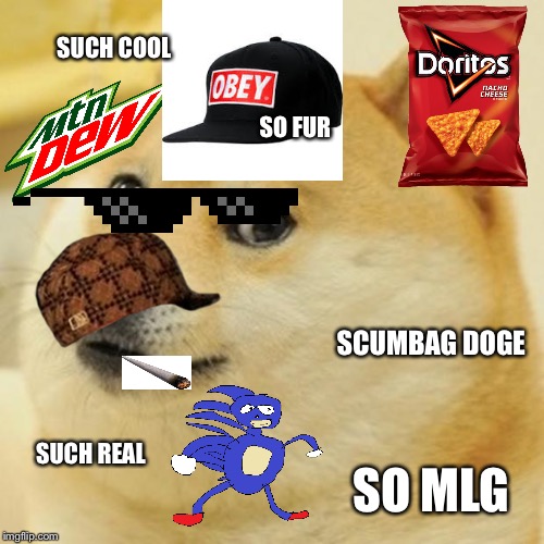 Doge | SUCH COOL; SO FUR; SCUMBAG DOGE; SUCH REAL; SO MLG | image tagged in memes,doge,scumbag | made w/ Imgflip meme maker