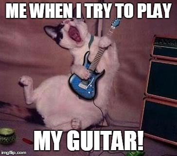 Guitar Cat | ME WHEN I TRY TO PLAY; MY GUITAR! | image tagged in guitar cat | made w/ Imgflip meme maker