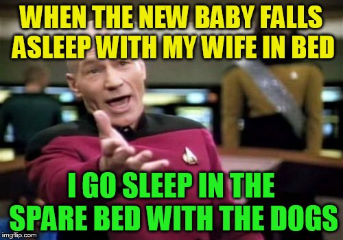 Picard Wtf Meme | WHEN THE NEW BABY FALLS ASLEEP WITH MY WIFE IN BED I GO SLEEP IN THE SPARE BED WITH THE DOGS | image tagged in memes,picard wtf | made w/ Imgflip meme maker