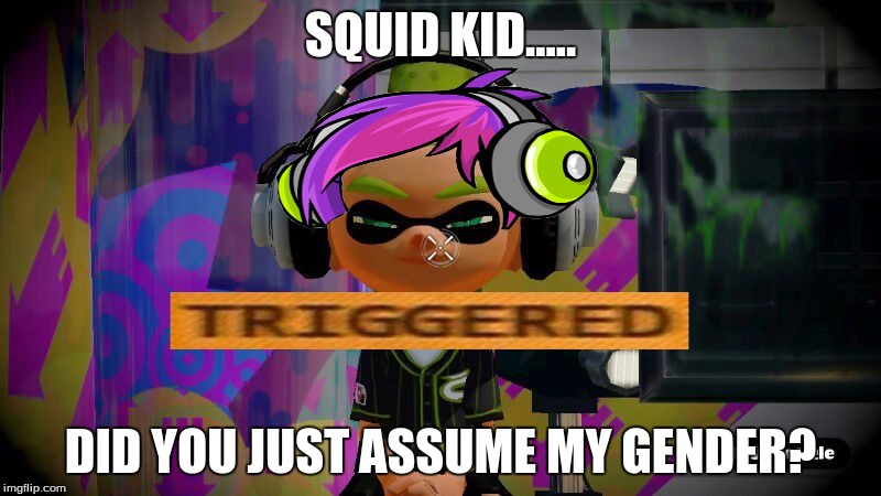 squid justice warrior   | SQUID KID..... DID YOU JUST ASSUME MY GENDER? | image tagged in sjw,splatoon,woomy,triggered,mad | made w/ Imgflip meme maker