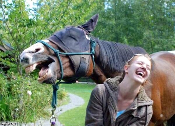 Laughing Horse | , | image tagged in laughing horse | made w/ Imgflip meme maker