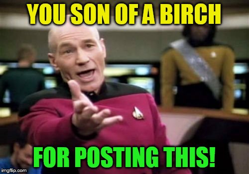 Picard Wtf Meme | YOU SON OF A BIRCH FOR POSTING THIS! | image tagged in memes,picard wtf | made w/ Imgflip meme maker