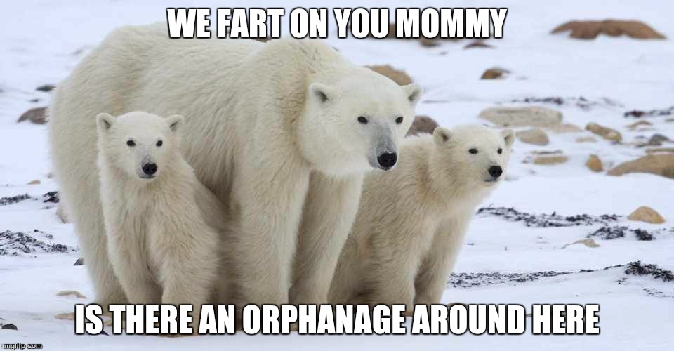 Polar bears | WE FART ON YOU MOMMY; IS THERE AN ORPHANAGE AROUND HERE | image tagged in polar bears | made w/ Imgflip meme maker
