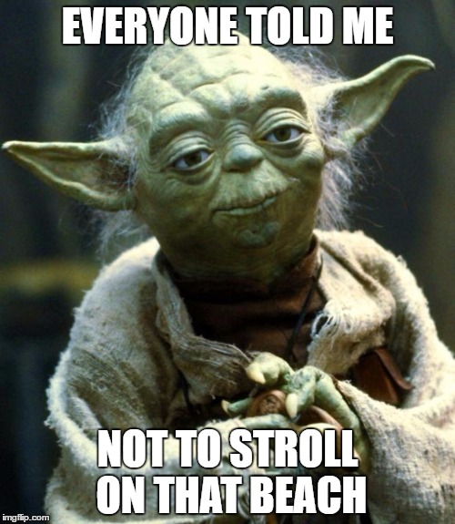 Star Wars Yoda Meme | EVERYONE TOLD ME; NOT TO STROLL ON THAT BEACH | image tagged in memes,star wars yoda | made w/ Imgflip meme maker