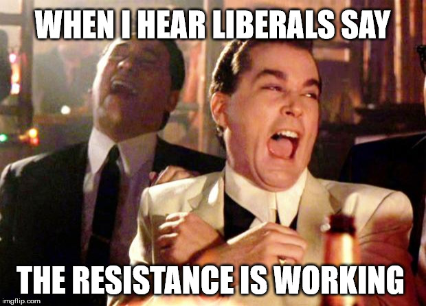 Goodfellas Laugh |  WHEN I HEAR LIBERALS SAY; THE RESISTANCE IS WORKING | image tagged in goodfellas laugh,resistance,antifa,trump | made w/ Imgflip meme maker