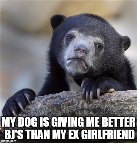 Confession Bear Meme | MY DOG IS GIVING ME BETTER BJ'S THAN MY EX GIRLFRIEND | image tagged in memes,confession bear | made w/ Imgflip meme maker