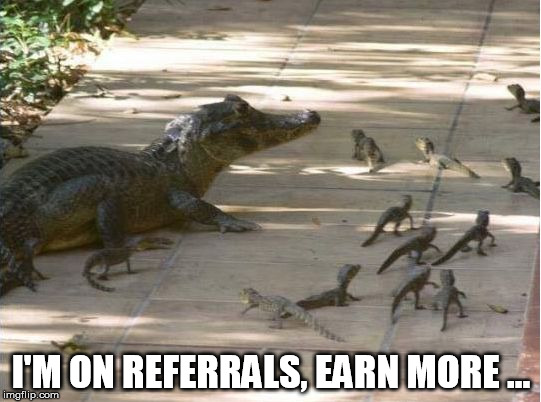 Spring in Florida | I'M ON REFERRALS, EARN MORE ... | image tagged in spring in florida | made w/ Imgflip meme maker