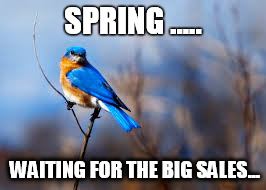 spring birds | SPRING ..... WAITING FOR THE BIG SALES... | image tagged in spring birds | made w/ Imgflip meme maker