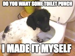 DO YOU WANT SOME TOILET PUNCH; I MADE IT MYSELF | image tagged in weed | made w/ Imgflip meme maker