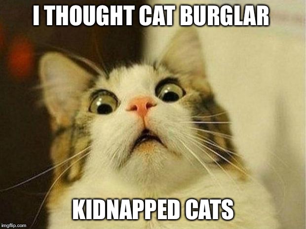Scared Cat Meme | I THOUGHT CAT BURGLAR; KIDNAPPED CATS | image tagged in memes,scared cat | made w/ Imgflip meme maker