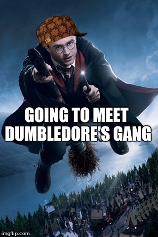 Harry Potter on Broom | GOING TO MEET DUMBLEDORE'S GANG | image tagged in harry potter on broom,scumbag | made w/ Imgflip meme maker