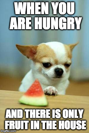 This could work as a First World Problem too. | WHEN YOU ARE HUNGRY; AND THERE IS ONLY FRUIT IN THE HOUSE | image tagged in dog fruit,first world problems,bacon,fruit,dog | made w/ Imgflip meme maker