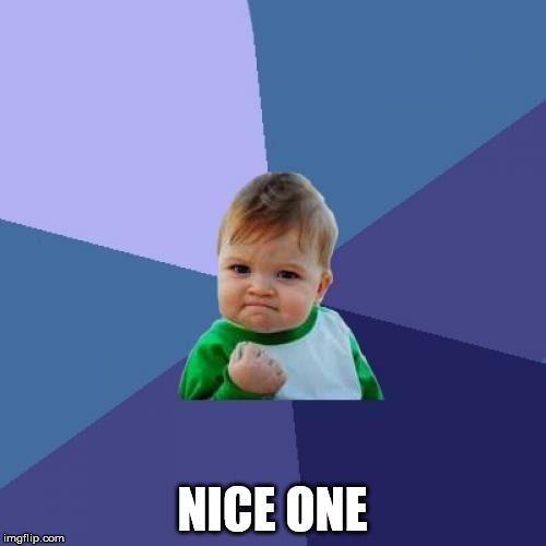 Success Kid Meme | NICE ONE | image tagged in memes,success kid | made w/ Imgflip meme maker