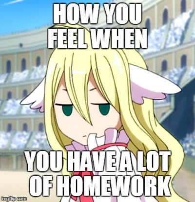 Mavis Vermillion Homework Meme | HOW YOU FEEL WHEN; YOU HAVE A LOT OF HOMEWORK | image tagged in fairy tail,fairy tail mavis | made w/ Imgflip meme maker