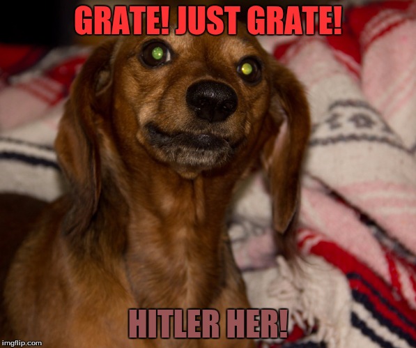Grouchy Duchshound | GRATE! JUST GRATE! HITLER HER! | image tagged in grouchy duchshound | made w/ Imgflip meme maker