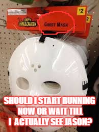 Pack your bags, Jason's coming! | SHOULD I START RUNNING NOW OR WAIT TILL I  ACTUALLY SEE JASON? | image tagged in jason,you had one job | made w/ Imgflip meme maker