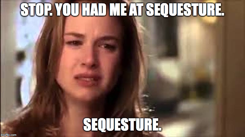 STOP. YOU HAD ME AT SEQUESTURE. SEQUESTURE. | image tagged in sequesture | made w/ Imgflip meme maker