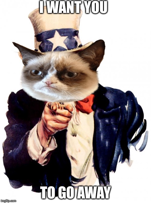 Grumpy sam | I WANT YOU; TO GO AWAY | image tagged in memes,uncle sam | made w/ Imgflip meme maker