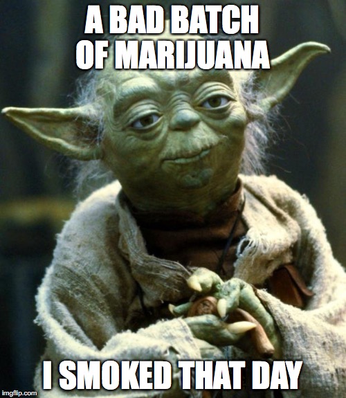 Star Wars Yoda Meme | A BAD BATCH OF MARIJUANA I SMOKED THAT DAY | image tagged in memes,star wars yoda | made w/ Imgflip meme maker