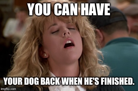 YOU CAN HAVE YOUR DOG BACK WHEN HE'S FINISHED. | made w/ Imgflip meme maker