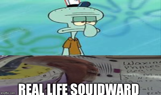 Squidward | REAL LIFE SQUIDWARD | image tagged in funny | made w/ Imgflip meme maker