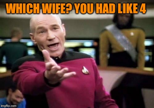 Picard Wtf Meme | WHICH WIFE? YOU HAD LIKE 4 | image tagged in memes,picard wtf | made w/ Imgflip meme maker